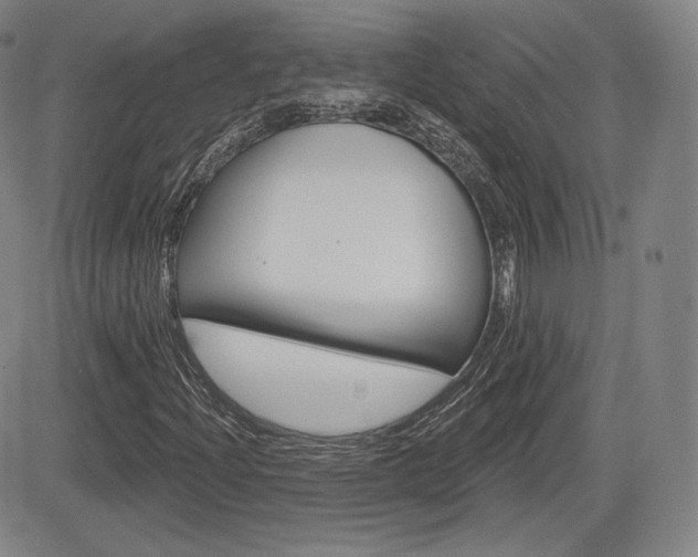 X0000085001204200703050927