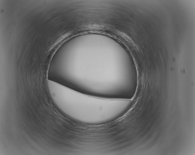 X0000085001209200703050927