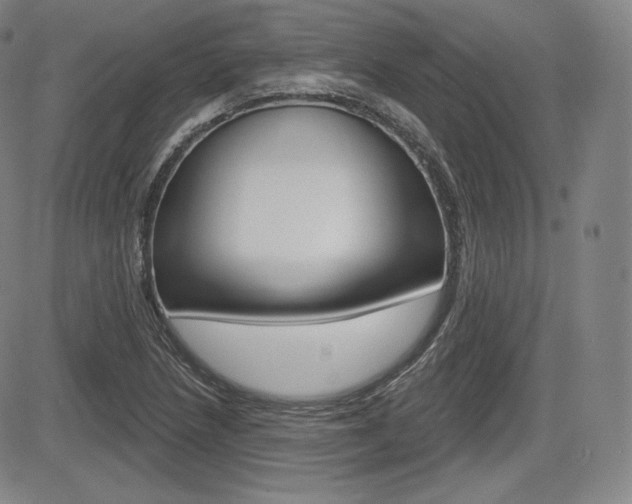X0000085001218200703050927