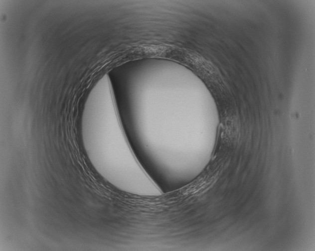 X0000085001249200703050927
