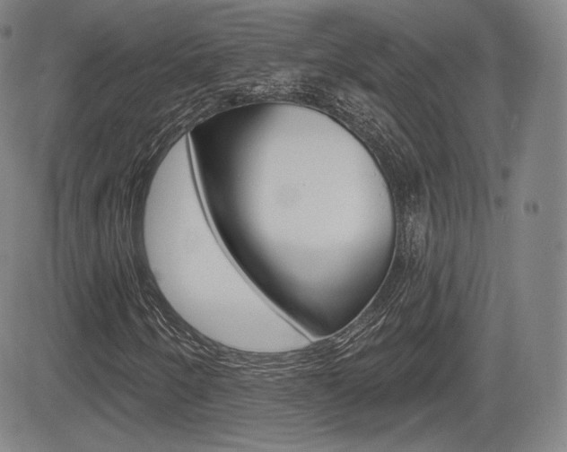 X0000085001250200703050927