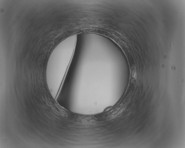 X0000085001252200703050927