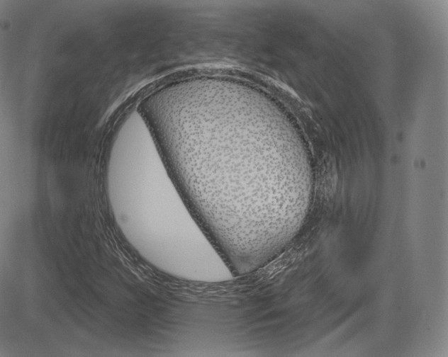 X0000085001255200703050927