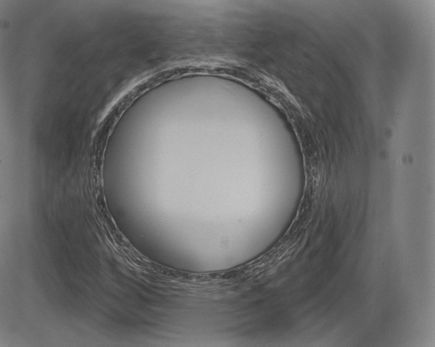 X0000085001256200703050927