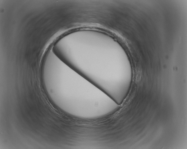 X0000085001271200703050926