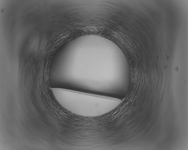 X0000085001297200703050925