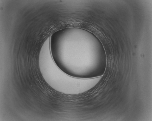 X0000085001298200703050925