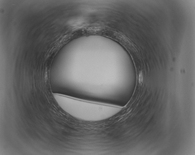 X0000085001299200703050925