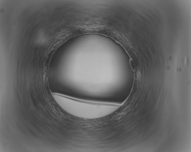 X0000085001300200703050925