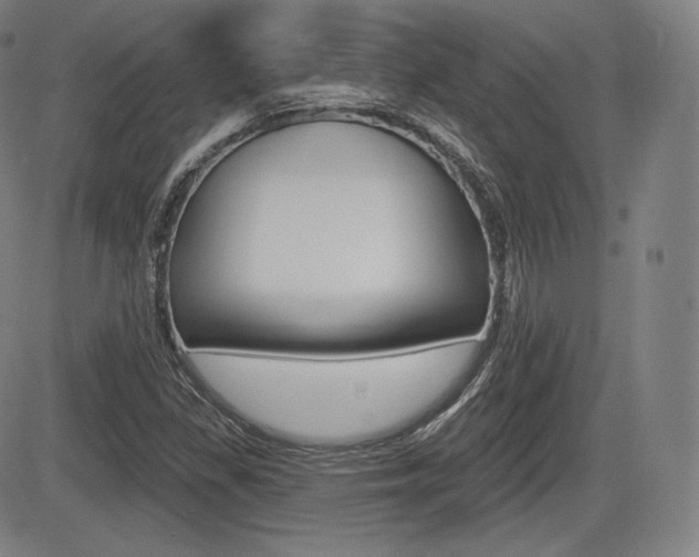 X0000085001309200703050925