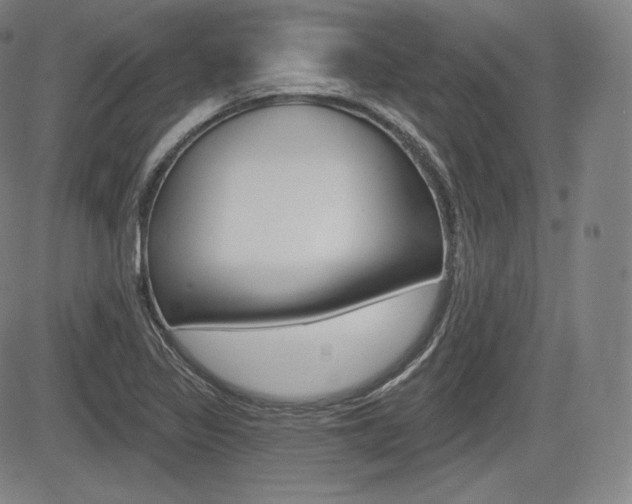 X0000085001317200703050925