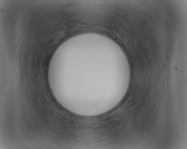 X0000085001345200703050925