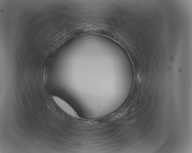 X0000085001348200703050925