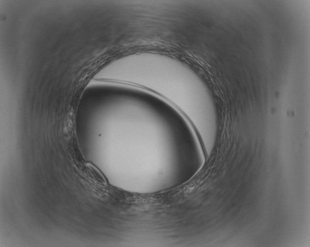 X0000085001349200703050925
