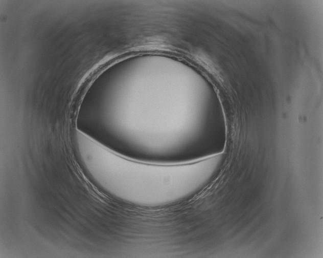 X0000085001356200703050925