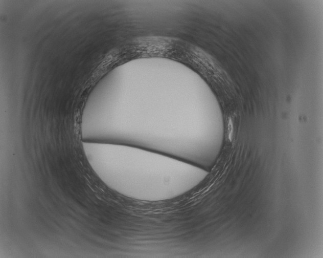 X0000085001395200703050924