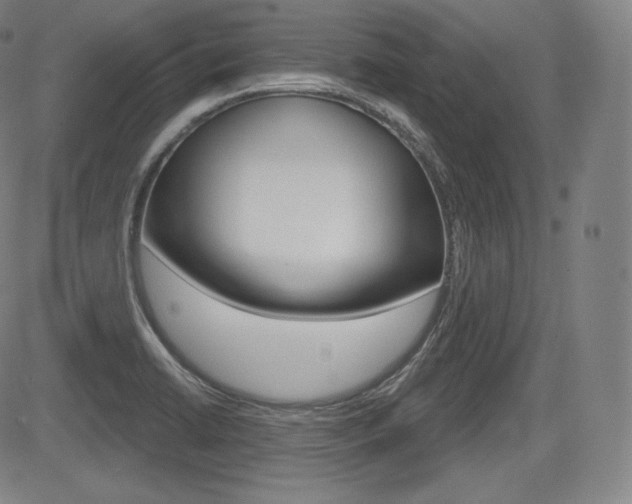 X0000085001422200703050924
