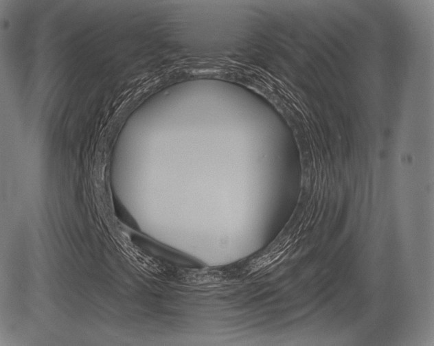 X0000085001441200703050924