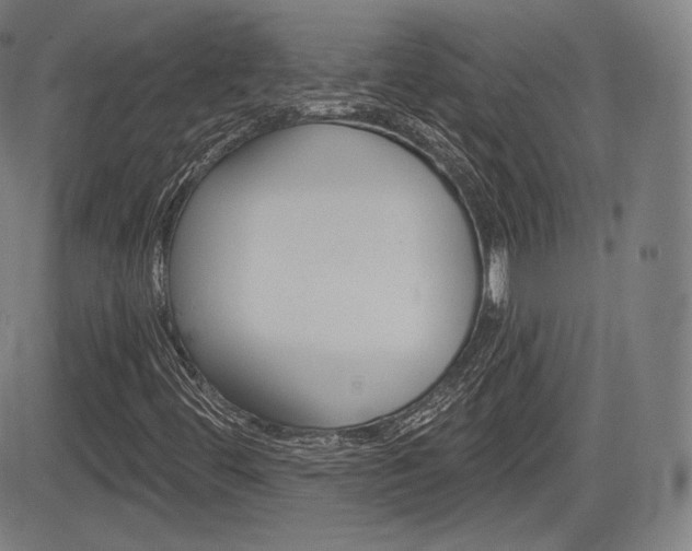 X0000085001444200703050923