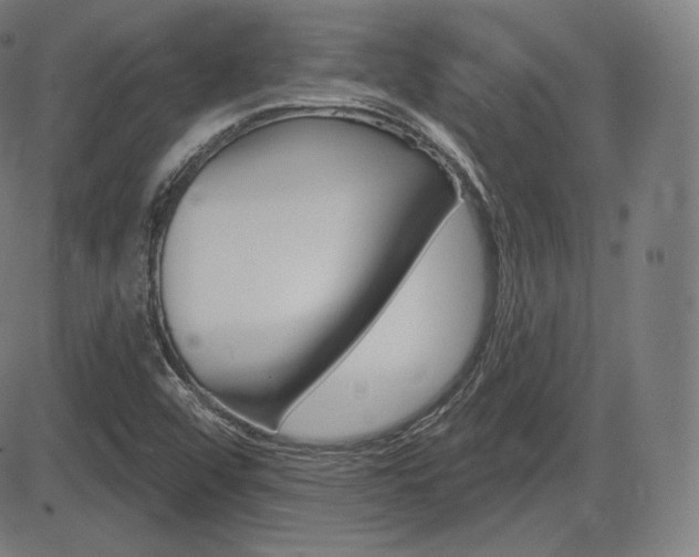 X0000085001456200703050923