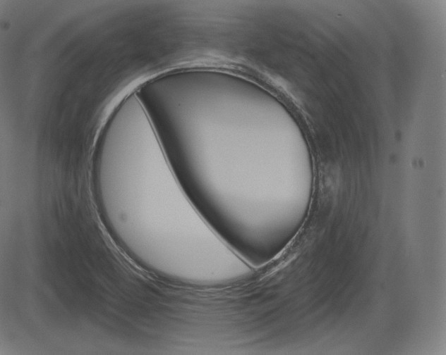 X0000085001463200703050923