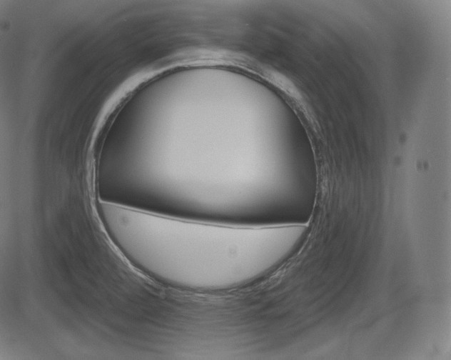 X0000085001472200703050923