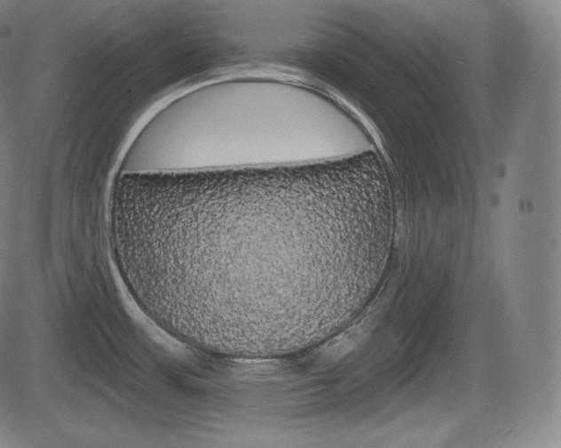 X0000085001483200703050923