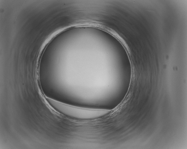 X0000085001485200703050923