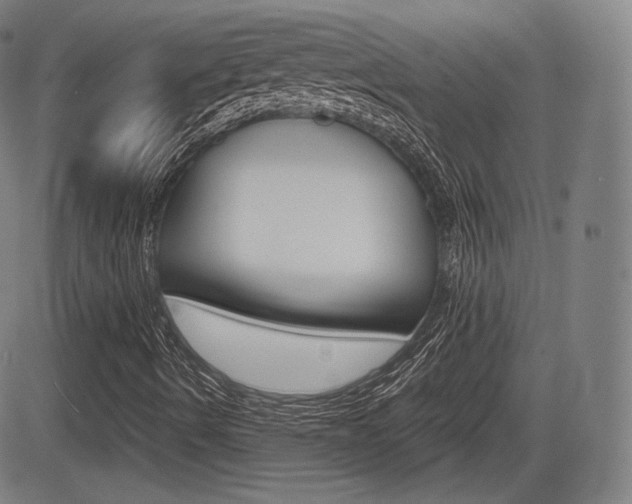 X0000085001490200703050922