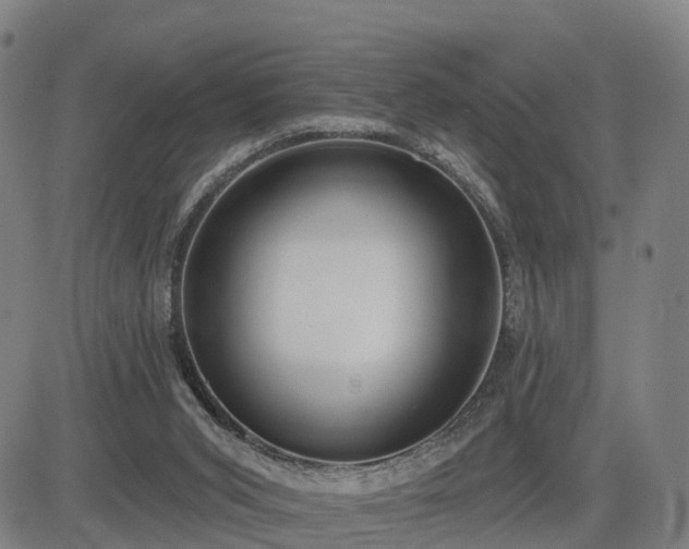 X0000085000015200703051233