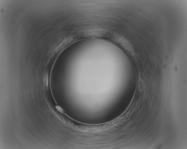 X0000085000021200703051233