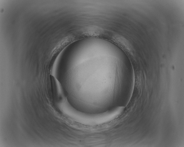 X0000085000023200703051233