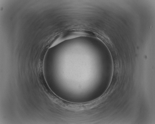 X0000085000029200703051233