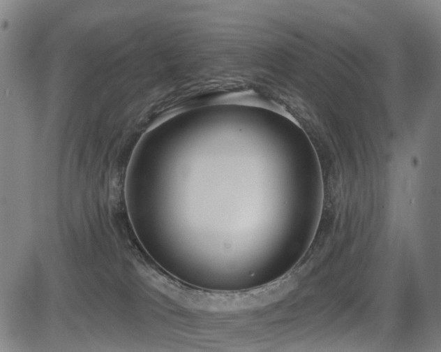 X0000085000037200703051232