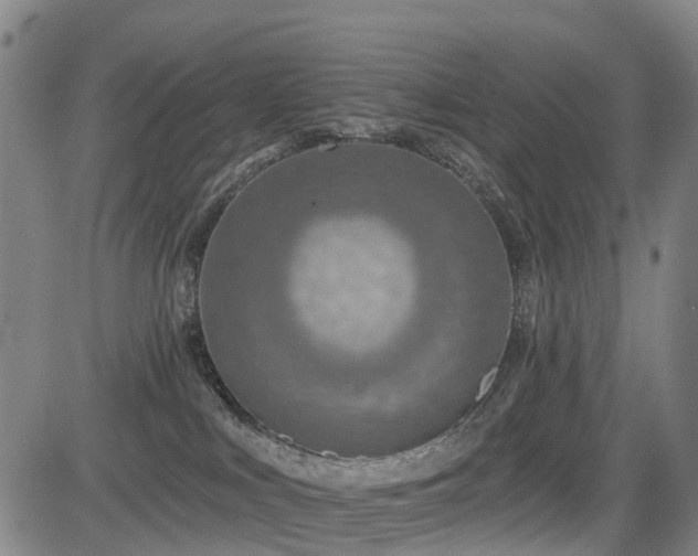 X0000085000043200703051232