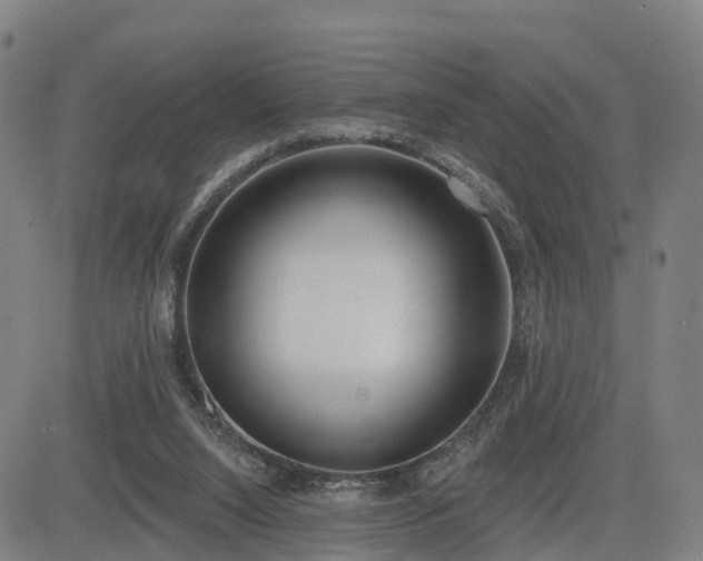 X0000085000064200703051232