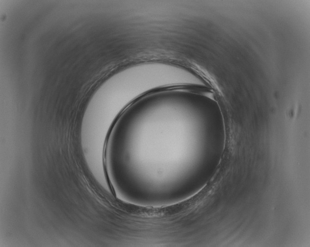 X0000085000065200703051232
