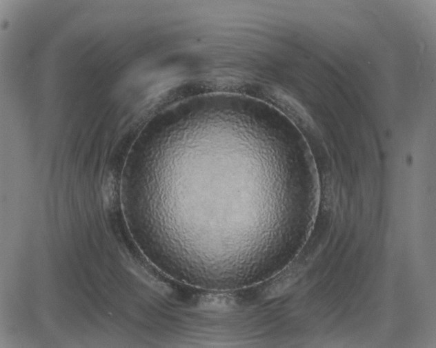 X0000085000077200703051232