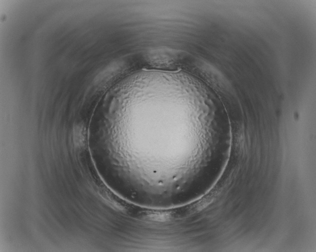 X0000085000081200703051232