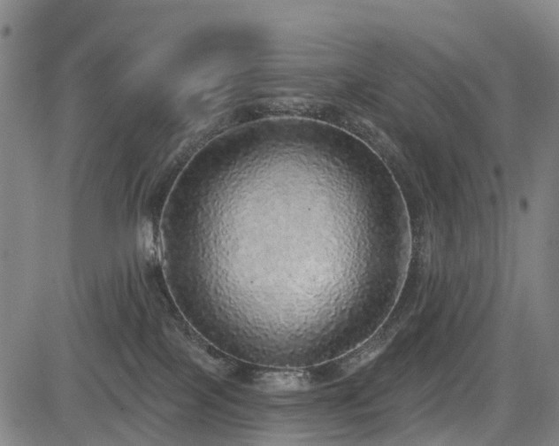 X0000085000089200703051232