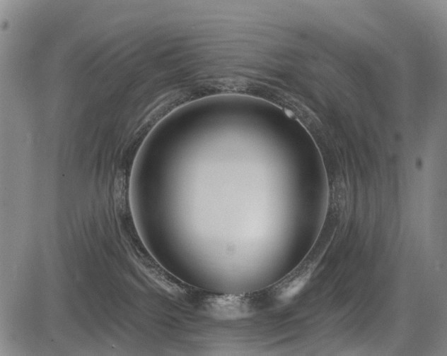 X0000085000092200703051232