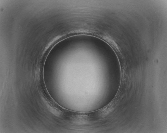 X0000085000108200703051231