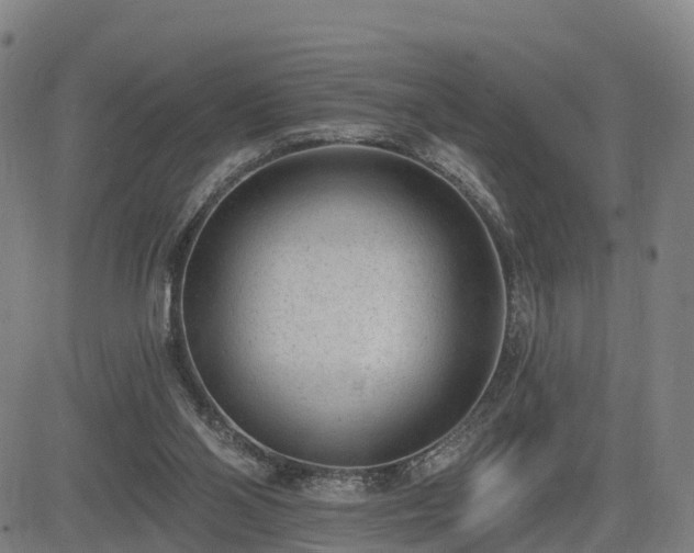 X0000085000110200703051231
