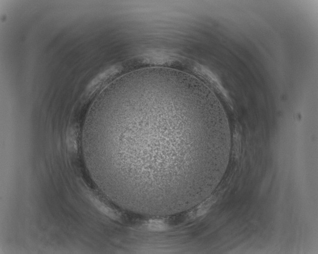 X0000085000114200703051231