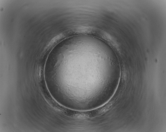 X0000085000115200703051231
