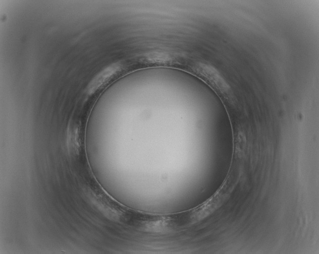 X0000085000116200703051231