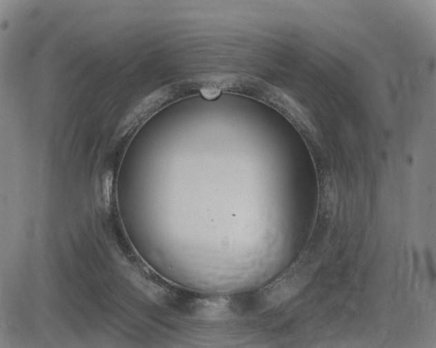 X0000085000118200703051231