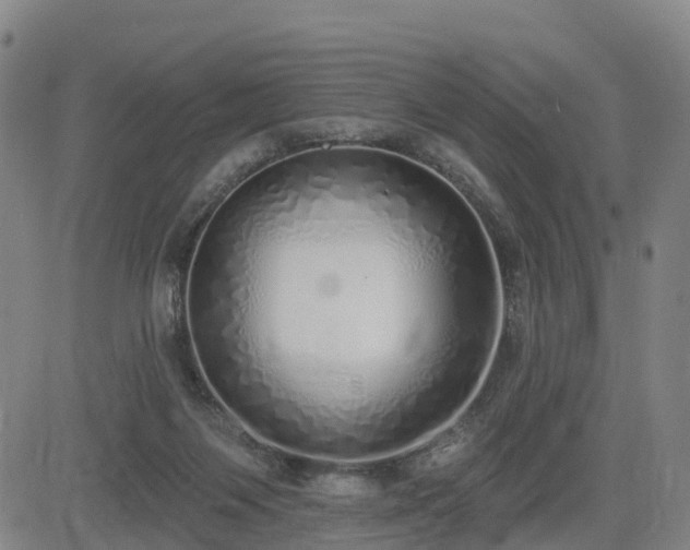 X0000085000119200703051231
