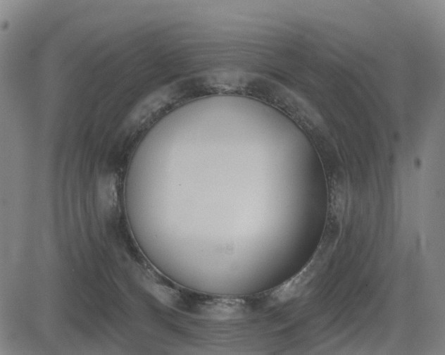 X0000085000128200703051231