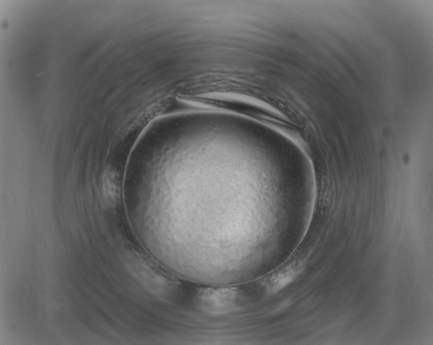 X0000085000135200703051231